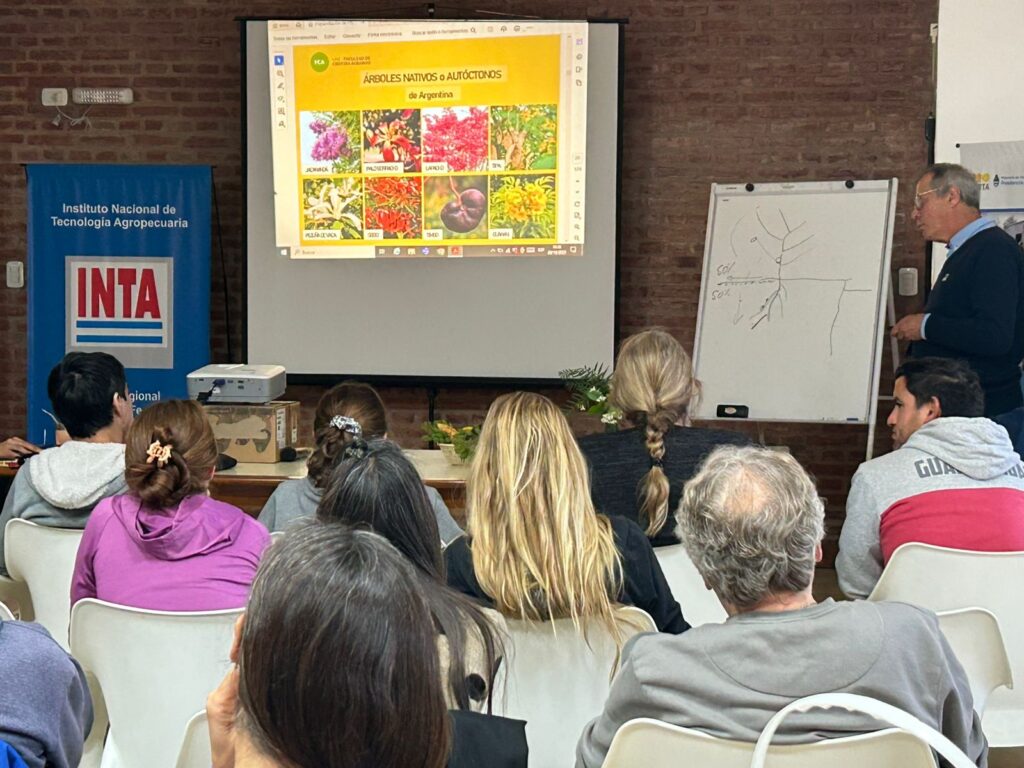 Lee más sobre el artículo INTA Gálvez impulsa la forestación y el valor agregado del algarrobo