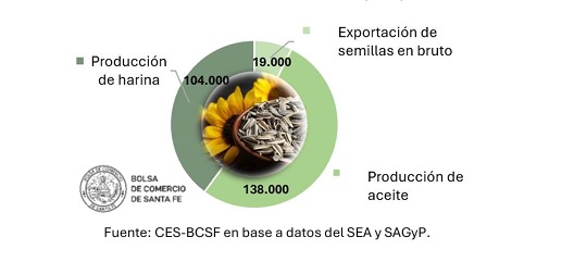 🔴 Campaña récord de girasol en el centro norte santafesino: producción, exportaciones y márgenes en alza