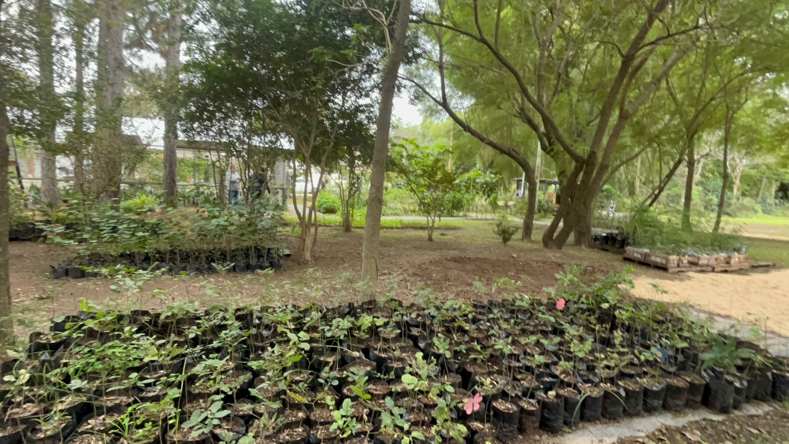 Gálvez impulsa la producción agroecológica con una nueva “aula verde” en el vivero municipal