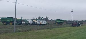 Cosecha frenada y campos anegados: el clima complica la producción en Santa Fe