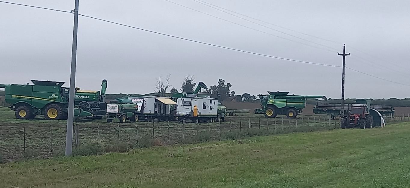 Cosecha frenada y campos anegados: el clima complica la producción en Santa Fe