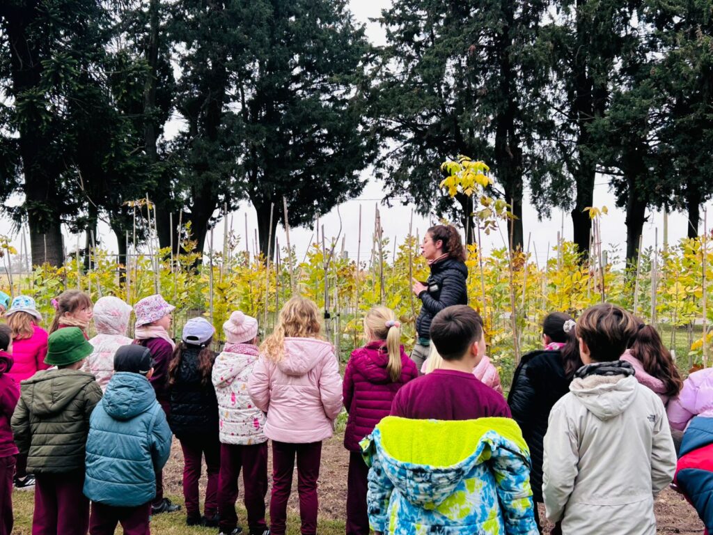 Lee más sobre el artículo Alumnos participaron de una nueva jornada de Custodios del Territorio en el Vivero Municipal