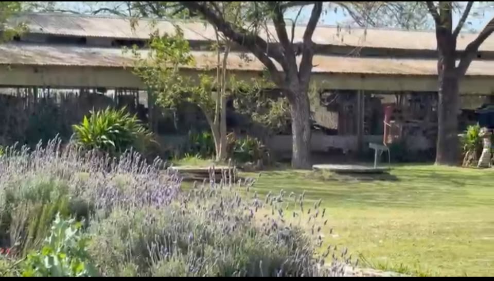 Este domingo, la Fundación vuelve a abrir sus puertas con una jornada para toda la familia