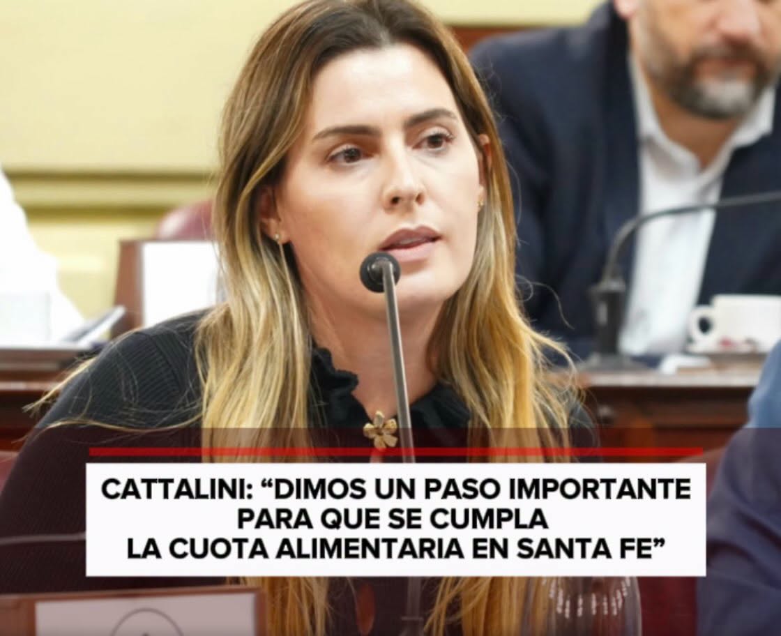 Santa Fe: Diputados dio media sanción a una reforma para reforzar el cumplimiento de la cuota alimentaria